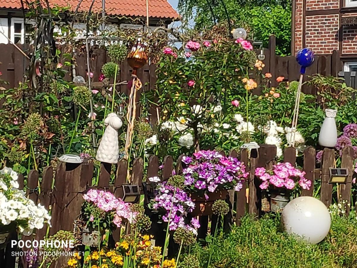 Apartament Annabell Soest Zewnętrze zdjęcie